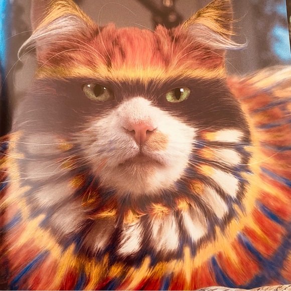 Why Paint Cats Feline Aesthetics Soft Cover Book - Picture 12 of 12